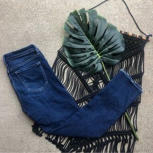 Flying Monkey Platinum Jeans Size 27